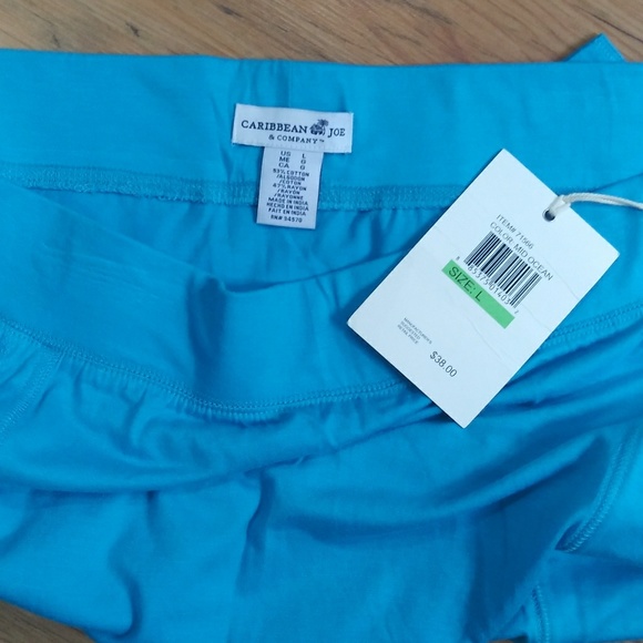 ✳️3️⃣/3️⃣0️⃣✳️Aqua Skirt with Pockets - Picture 3 of 3